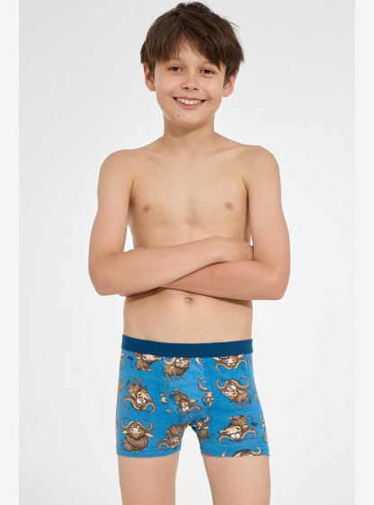БОКСЕРКИ BOY YOUNG 700 J/26