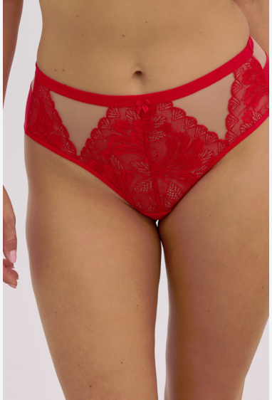 ТРУСИКИ BRAZYLIAN CARSON ART.1338