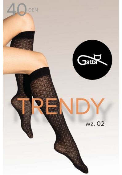 TRENDYLINE KNEE SOCKS 40 - ПІДКОЛІННИКИ 02